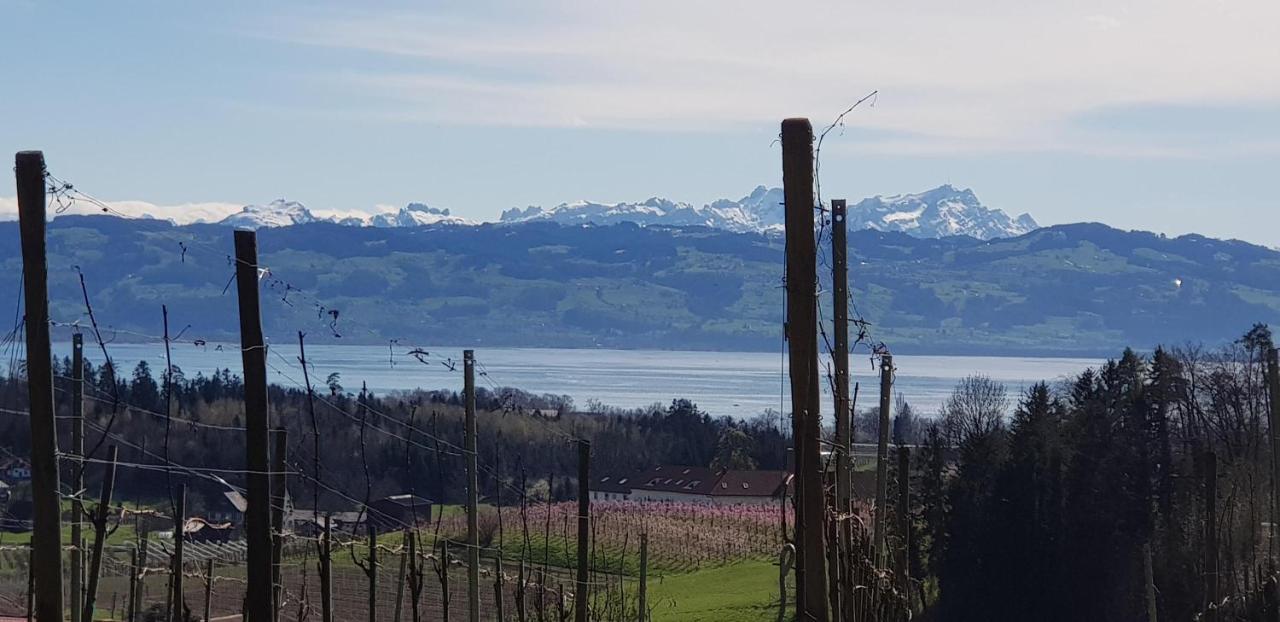 Alpenblick 3 Leilighet Bodolz Eksteriør bilde
